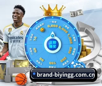 brand-biyingg.com.cn APP 深度功能